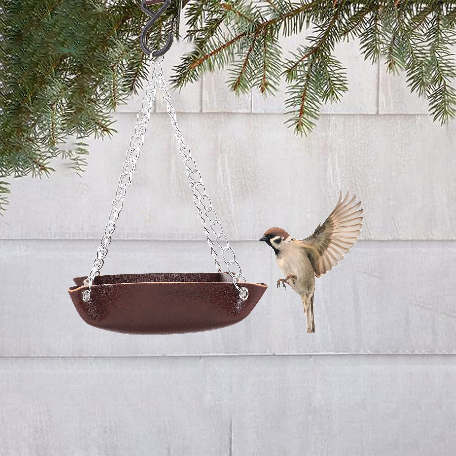 Bird Feeder Transparent Durabl - đánh giá và giá Feeding
